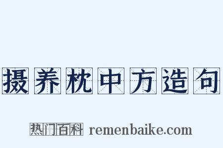 摄养枕中方造句是什么意思的图片